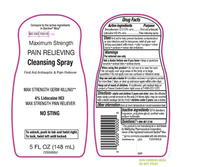 Walgreen Maximum Strength Pain Relieving Cleansing Spray (72205mjr Diline.jpg)